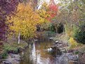 Picture Title - Stream in a meadow