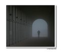 Picture Title - Lonely in the mist