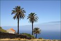Picture Title - Somewhere on Gomera