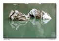 Picture Title - Iceberg - Glacier Bay, Alaska