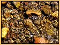 Picture Title - Rocks, Pebbles and Water