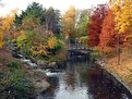 Picture Title - A stream in a meadow