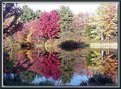 Picture Title - Autumn By The Lake