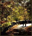 Picture Title - Autumn - walking in the park