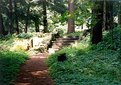 Picture Title - Yaddo Steps...