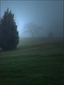 Picture Title - Misty light