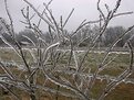 Picture Title - Sand Mountain Ice Storm