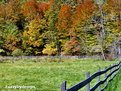 Picture Title - Fall Fenceline
