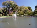 Picture Title - Autumn In The Park