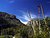 Guadalupe Mountains