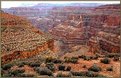 Picture Title - South rim vegitation