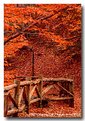 Picture Title - Fall foliage in New England 1