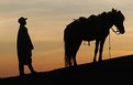 Picture Title - A Man and A Horse