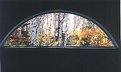 Picture Title - My Bedroom Window autum