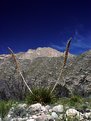 Picture Title - Guadalupe Mountains III