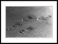 Picture Title - Footsteps