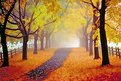 Picture Title - Fall Path