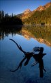 Picture Title - Morning at Jenny Lake