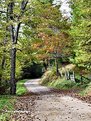 Picture Title - Quiet Curve on Sugar Creek Road