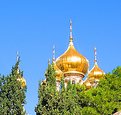 Picture Title - Golden Dome