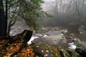 Picture Title - FALL IN THE  SMOKIES