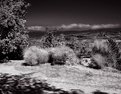 Picture Title - The Luberon Valley