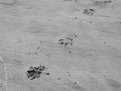 Picture Title - Beached alone