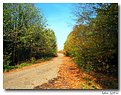 Picture Title - Autumn Road...