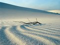 Picture Title - White Sands