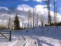 Picture Title - Snowy Road