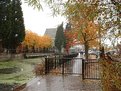 Picture Title - Wet Autumn Day