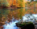 Picture Title - Autumn Lake