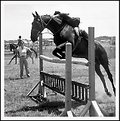 Picture Title - Horse Jump, Circa 1993