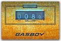 Picture Title - Gasboy