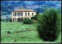 Picture Title - Abandonado