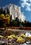 Majestic Yosemite