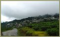 Picture Title - Strom on the way