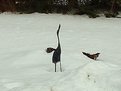 Picture Title - STANDING IN SNOW