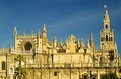 Picture Title - Catedral de Sevilla