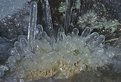 Picture Title - ice