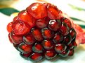 Picture Title - pomegranate