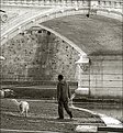 Picture Title - lungotevere