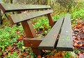 Picture Title - The bench