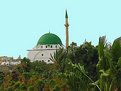 Picture Title - Mosque in Green
