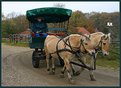 Picture Title - Horse cart;