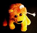 Picture Title - The Little Lion don't fear in the Dark