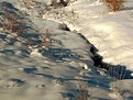 Picture Title - Snow in the Ditch