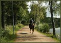 Picture Title - The policeman and his horse # 2