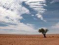 Picture Title - Landscape in Namibia