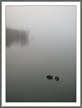 Picture Title - Foggy Morning on the Lake